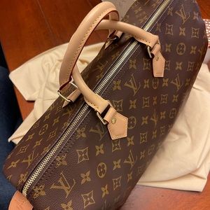 Louis Vuitton Speedy 40 Handbag